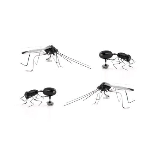 INSEKTEN Magnete